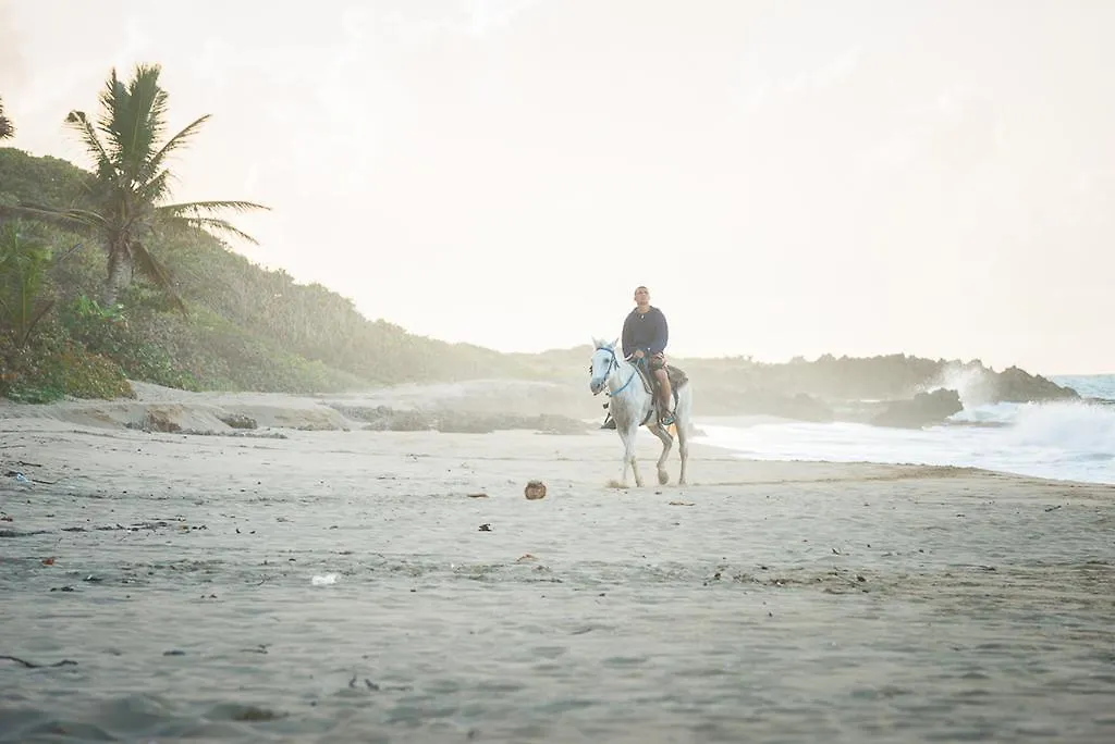 Natura Cabana Boutique Hotel & Spa By Mint Cabarete