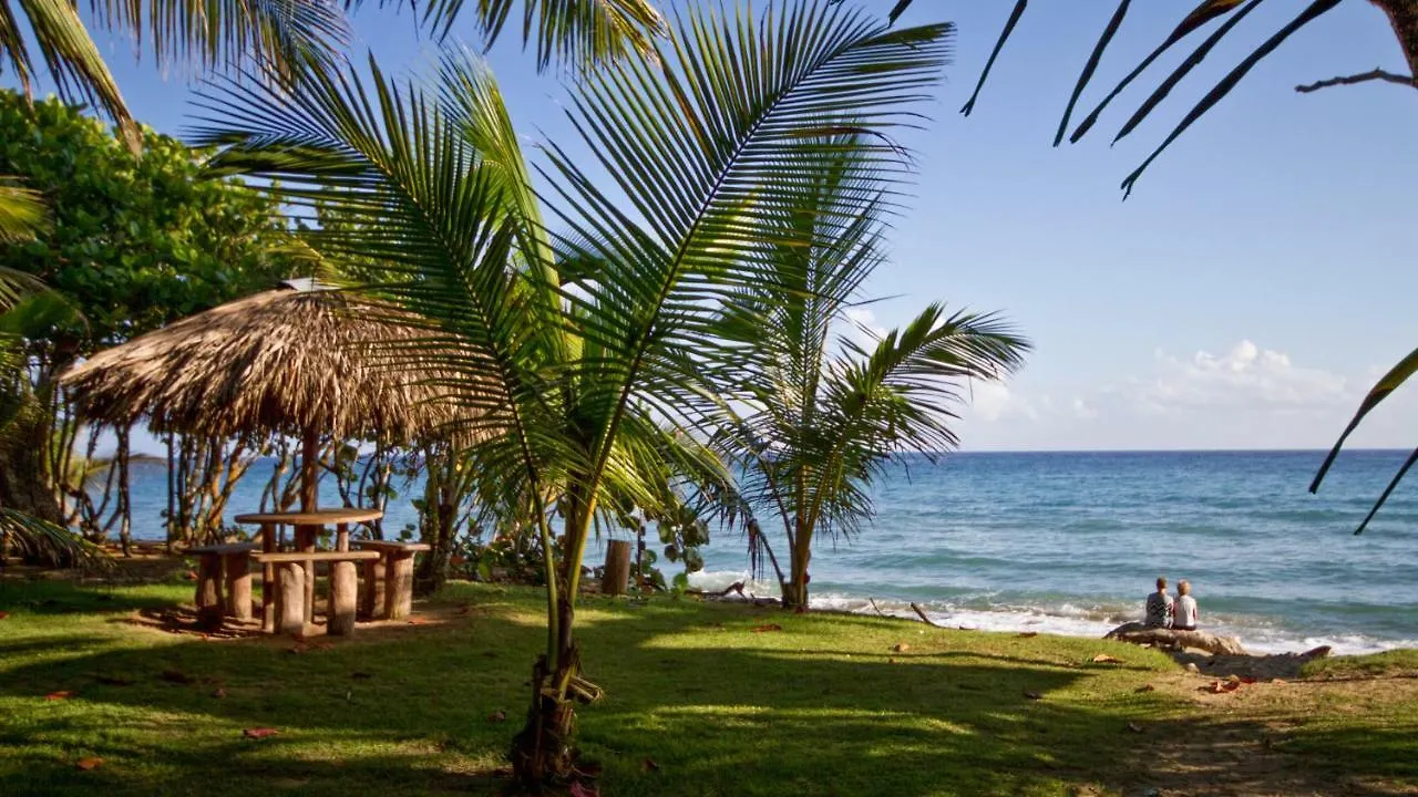 Natura Cabana Boutique Hotel & Spa By Mint Cabarete 3*,  Dominik Cumhuriyeti